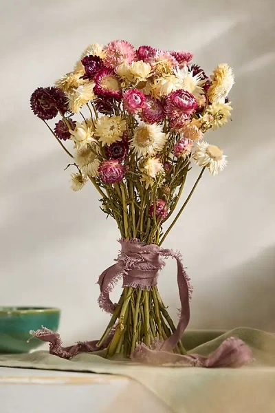 Anthropologie Preserved Strawflower Bunch