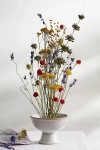 Anthropologie Primary Hues Dried Bouquet