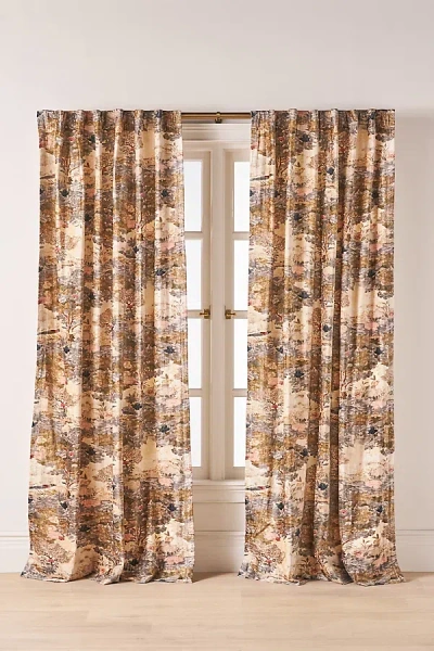 Anthropologie Printed Velvet Scenic Bird Curtain In Brown