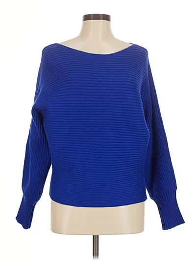 Pre-owned Anthropologie Pullover Sweater In Blue