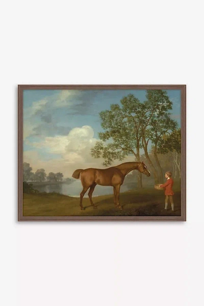 Anthropologie Pumpkin With A Stable-lad By George Stubbs Wall Art