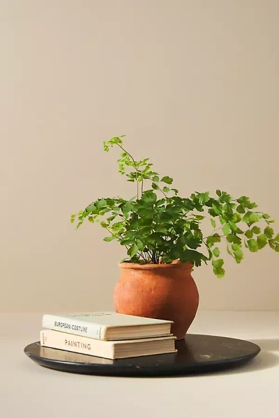 Anthropologie Pure Marble Vanity Tray In Green