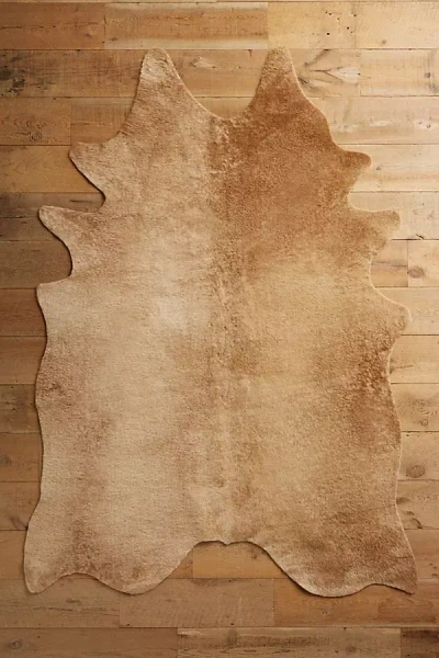 Anthropologie Rustic Living Rug In Brown