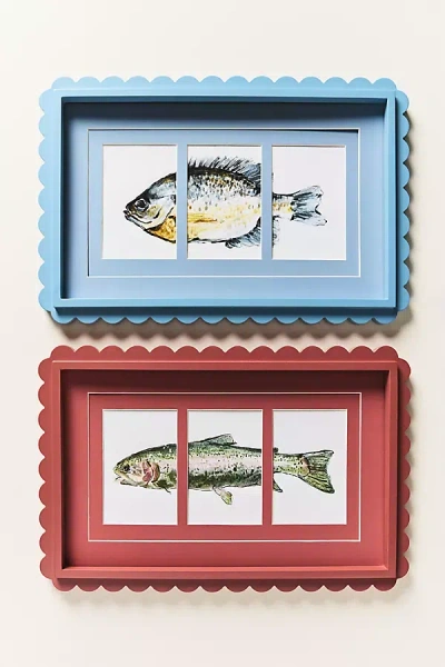 Anthropologie Scallop Fish Frame In Multi