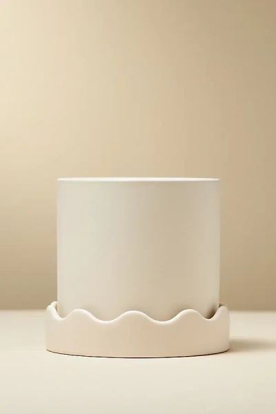 Anthropologie Scalloped Ceramic Pot In Neutral