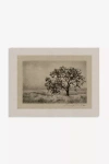 Anthropologie Searching For You Wall Art By Lina Gordievsky