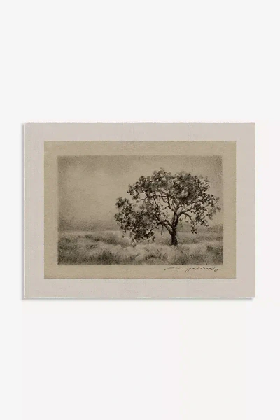 Anthropologie Searching For You Wall Art By Lina Gordievsky In Neutral