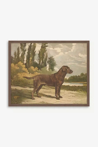 Anthropologie Setter Stance By Reuben Ward Binks Wall Art In Brown