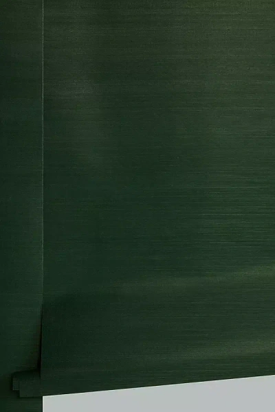 Anthropologie Sisal Wallpaper In Green