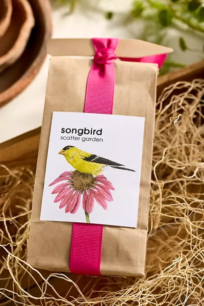 Anthropologie Songbird Garden Seed Scatter In Neutral
