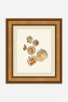 Anthropologie Spice Splash Wall Art In Brown
