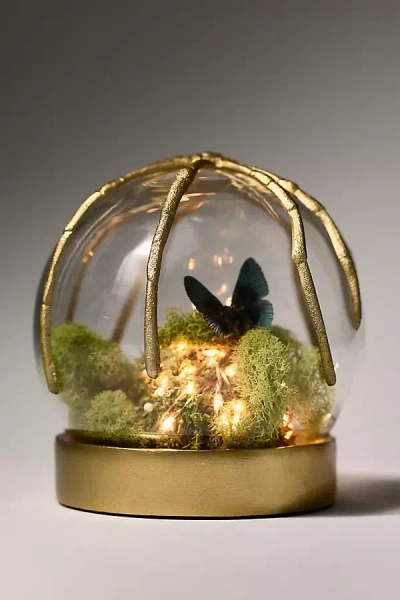 Anthropologie Spider Cloche Terrarium In Multi