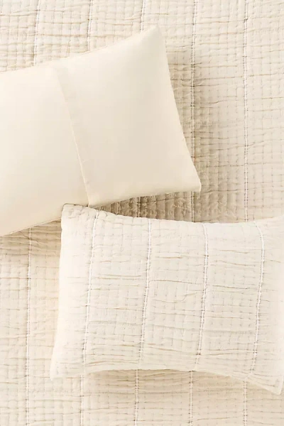 Anthropologie Striped Cotton Gauze Shams, Set Of 2