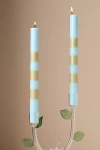 Anthropologie Striped Taper Candles, Set Of 2 In Blue