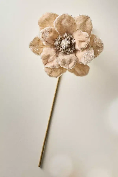 Anthropologie Sugared Flower Decorative Object In Neutral