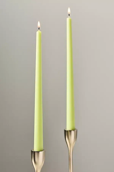 Anthropologie Taper Candles, Set Of 2 In Green