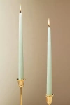 Anthropologie Taper Candles, Set Of 2 In Green