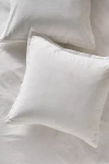 Anthropologie Taylor Organic Cotton Percale Embroidered Euro Sham In White