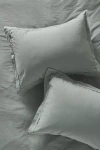 Anthropologie Taylor Organic Cotton Percale Embroidered Shams, Set Of 2 In Neutral