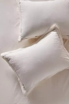 Anthropologie Taylor Organic Cotton Percale Embroidered Shams, Set Of 2 In White