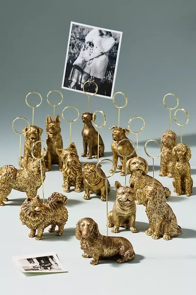 Anthropologie The Animal Icon Photo Holder: Dog Edition In Gold