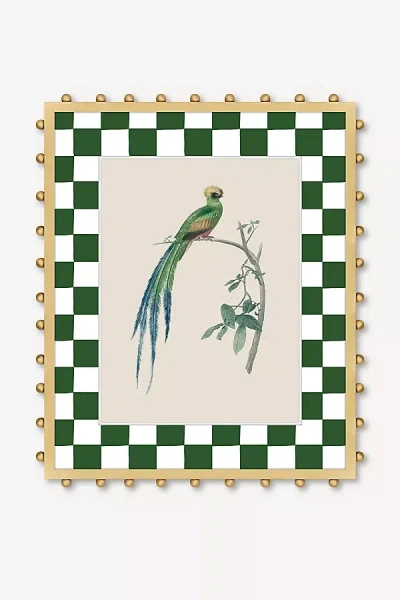 Anthropologie The Couroucou Resplendissant Wall Art In Green