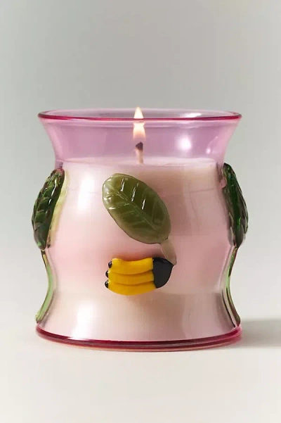 Anthropologie The Cove Fruity Hibiscus & Pink Guava Glass Candle