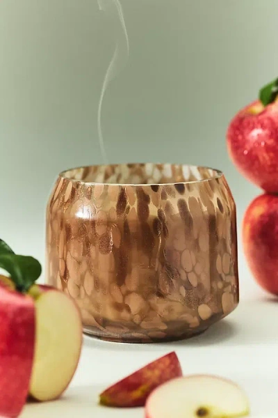 Anthropologie The Gather Candle By : Fruity Honeycrisp Oakwood In Brown