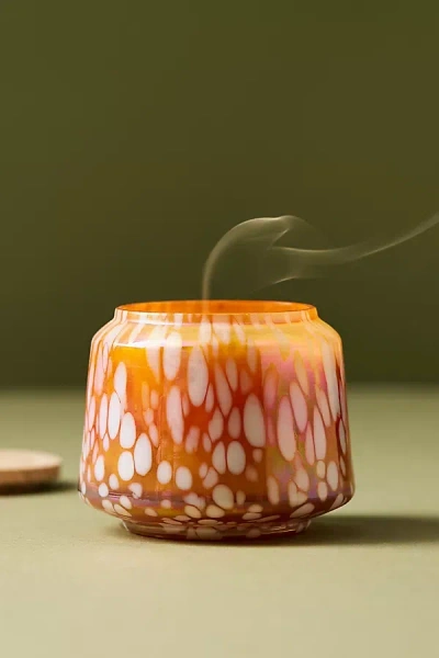 Anthropologie The Gather Candle By : White Birch & Pumpkin Mini Edition