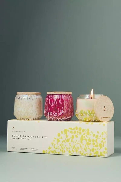 Anthropologie The Gather Candles By : Discovery Edition, Set Of 3 In Multicolor