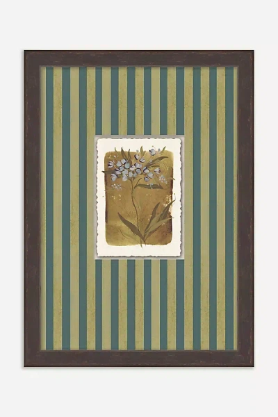 Anthropologie Tiny Botanicals Wall Art