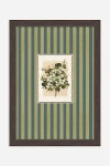 Anthropologie Tiny Botanicals Wall Art