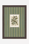 Anthropologie Tiny Botanicals Wall Art