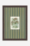 Anthropologie Tiny Botanicals Wall Art