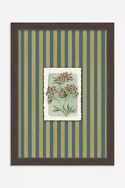 Anthropologie Tiny Botanicals Wall Art
