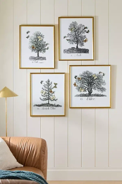 Anthropologie Tree With Dimensional Butterflies Wall Art In Multi