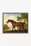 Anthropologie Truss, A Hunter By George Stubbs Wall Art In Multi