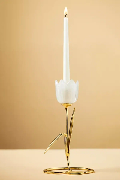 Anthropologie Tulip Brass Candle Holder In White