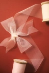 ANTHROPOLOGIE TULLE RIBBON