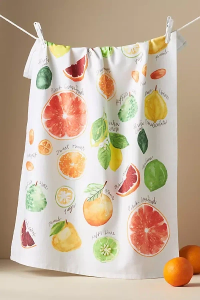 Anthropologie Types Of Citrus Dish Towel In Multi
