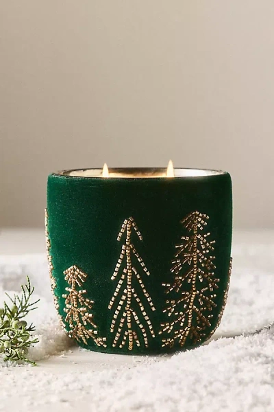 Anthropologie Velvet Forest Woody Juniper & Cedar Glass Candle In Green