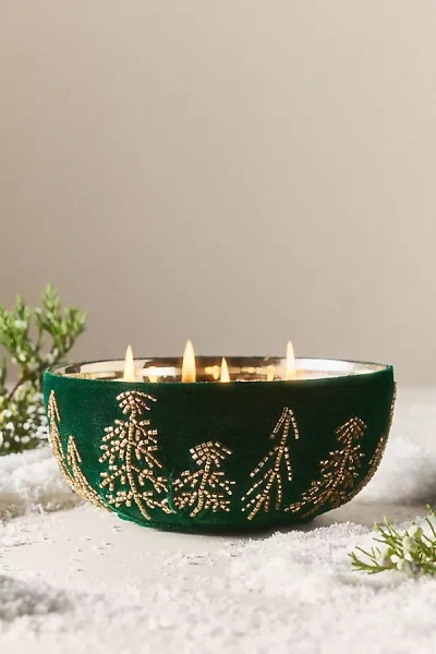 Anthropologie Velvet Forest Woody Juniper & Cedar Glass Candle In Green