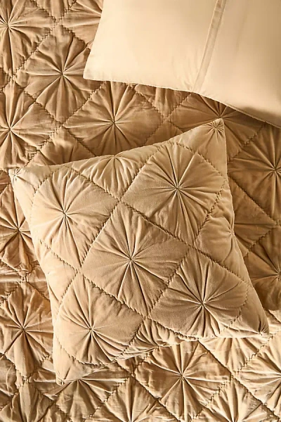 Anthropologie Velvet Trova Euro Sham In Neutral