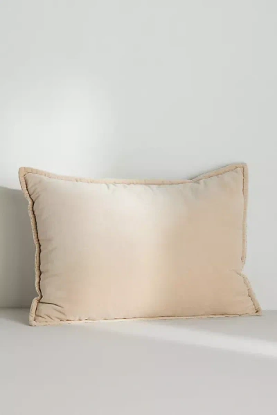 Anthropologie Velvet Trova Pillow In Neutral