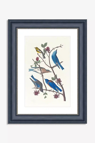 Anthropologie Western Bluebird Wall Art In Animal Print
