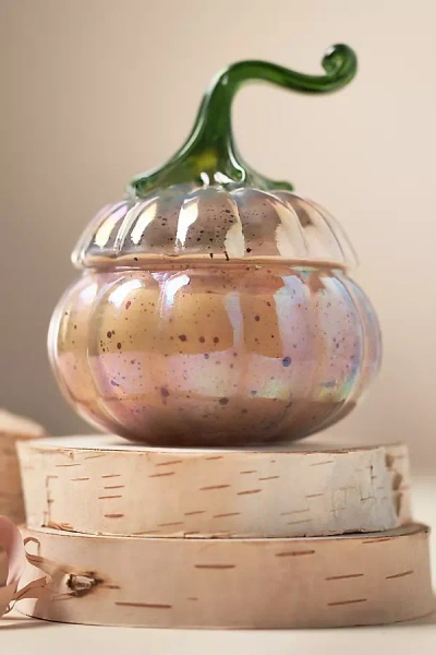 Anthropologie Woody White Birch & Pumpkin Mini Glass Pumpkin Candle