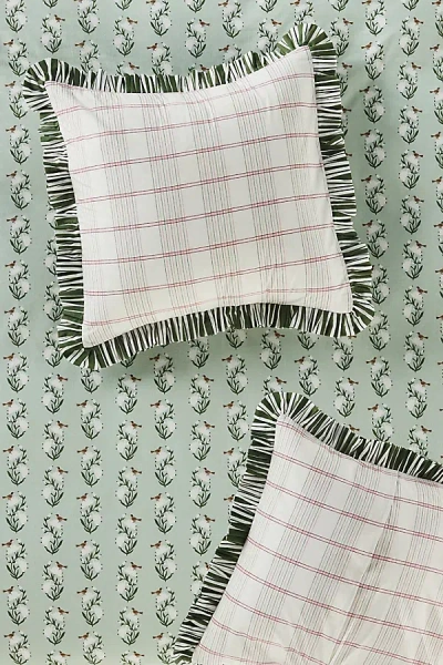 Anthropologie Zelda Cotton Floral Stripe Ruffle Printed Euro Sham In Multi