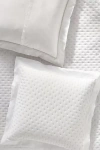 Anthropologie Zina Cotton Embroidered Woven Euro Sham In White