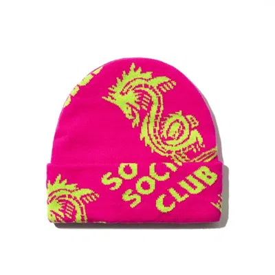 Pre-owned Anti Social Club Garden Grove Knit Cap In Pink