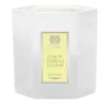 Antica Farmacista Lemon Verbena Cedar Scented 3 Wick Candle